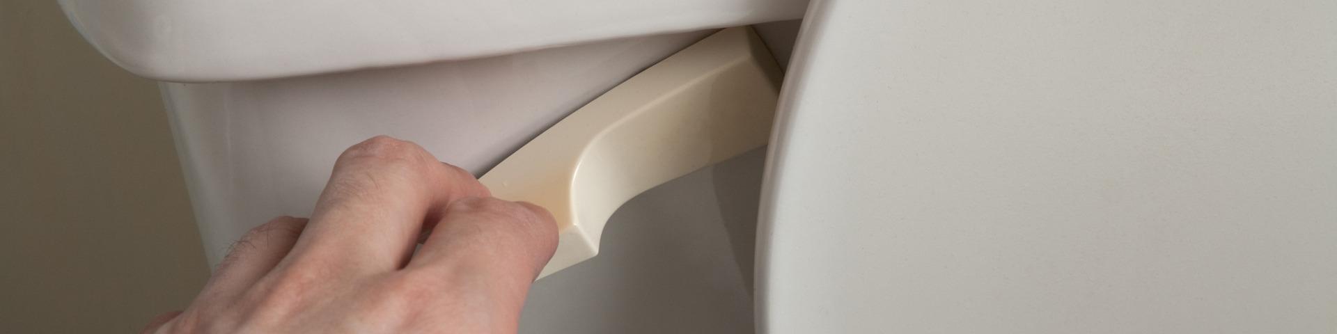 A person presses down the handle of a white toilet.